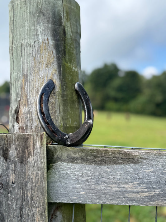 Authentically Worn Horseshoe Hooks